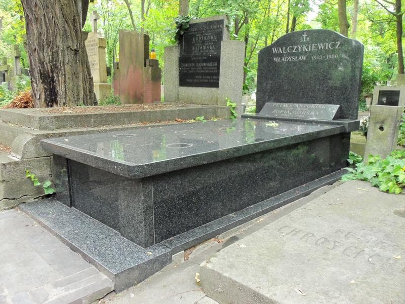 Zdjęcie grobu Władysław Walczykiewicz (1)