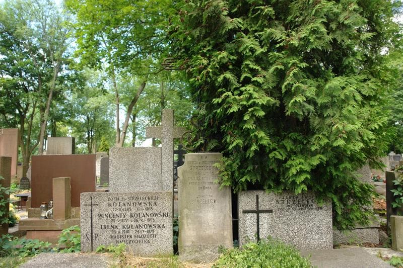 Zdjęcie grobu Stanisław Strzelecki (2)