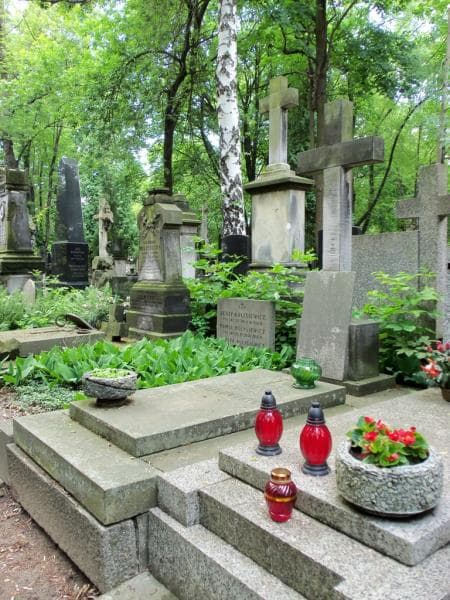 Zdjęcie grobu Stanisława Drejer (1)