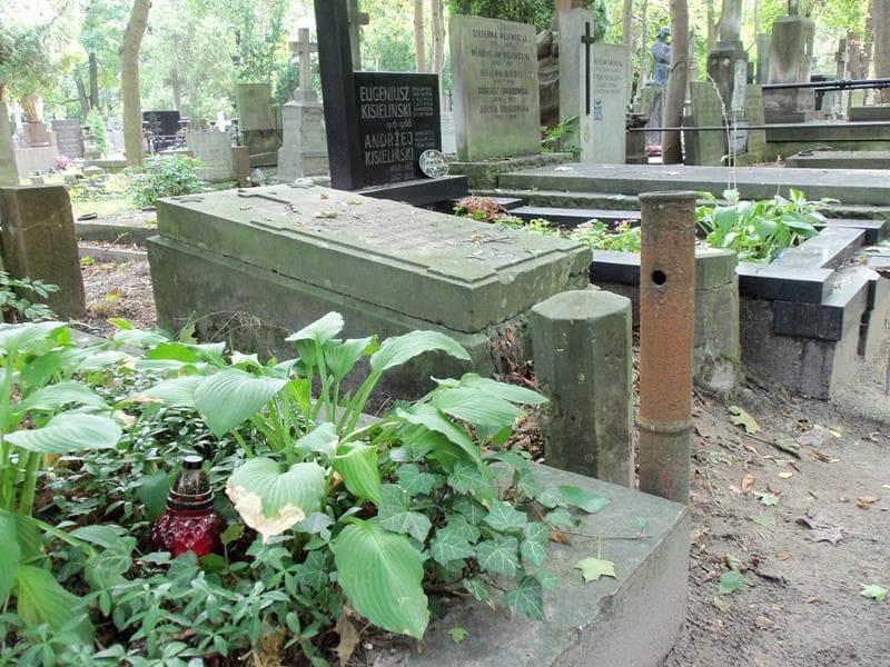 Zdjęcie grobu Marja Zawistowska (1)