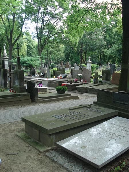 Zdjęcie grobu Michałek Betcher (1)