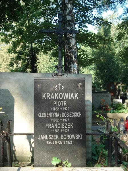 Zdjęcie grobu Januszek Borowski (2)