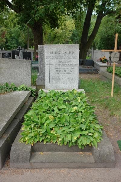 Zdjęcie grobu Karola Wolicka (1)