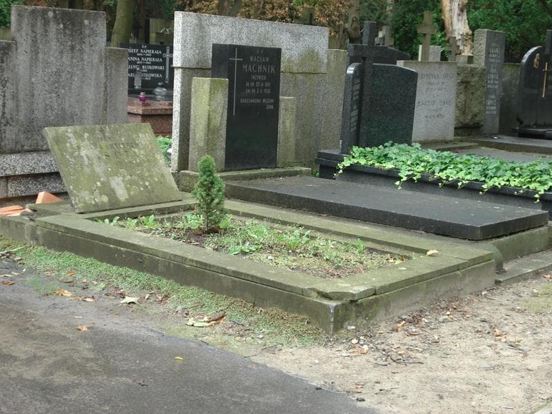 Zdjęcie grobu Rozalia Lasota (1)
