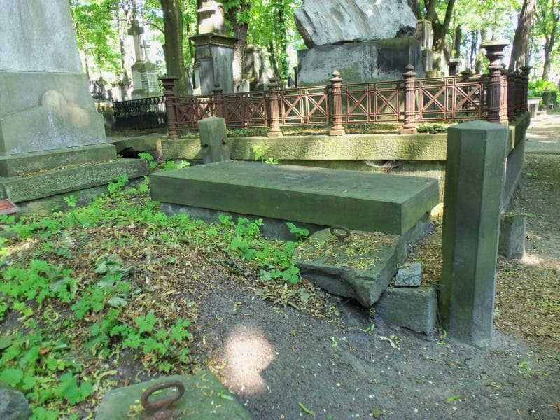 Zdjęcie grobu Aniela Pułjanowska (1)