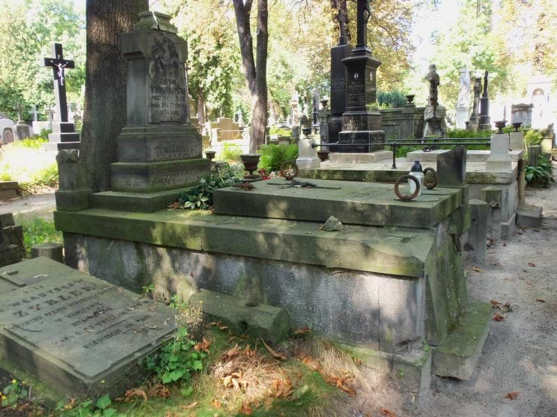 Zdjęcie grobu Antoni Tymieniecki (1)