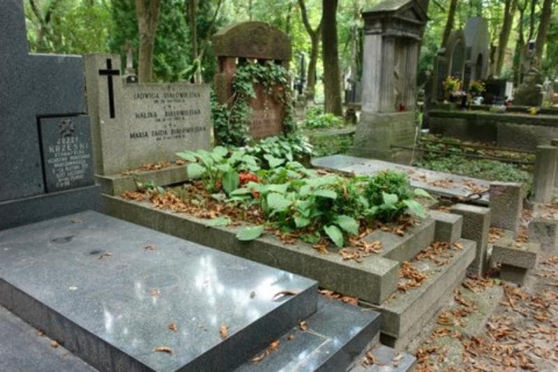 Zdjęcie grobu Halina Białowiejska (1)