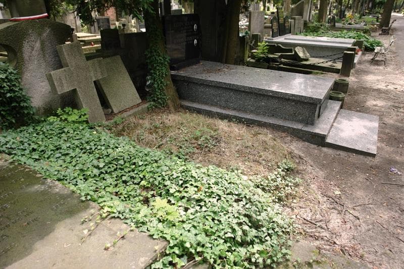 Zdjęcie grobu: Witold Rydzewski