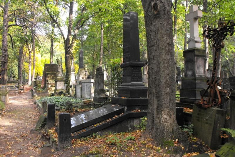 Zdjęcie grobu Stefan Paszkiewicz (1)
