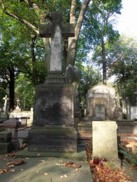 Zdjęcie grobu Aniela Wóycicka (2)