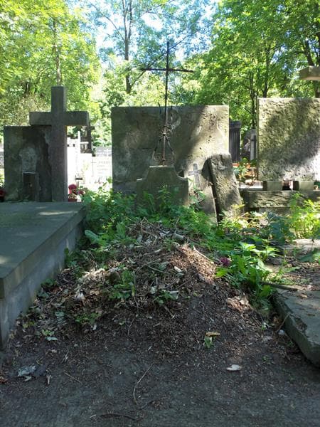 Zdjęcie grobu: Feliks Głodowski