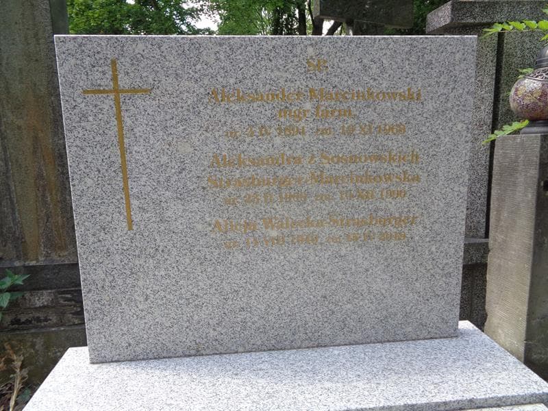 Zdjęcie grobu Aleksander Marcinkowski (2)