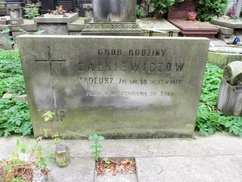 Zdjęcie grobu Emilia Całkiewicz (2)