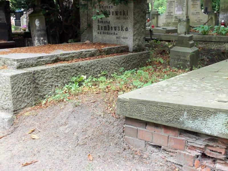 Zdjęcie grobu Antonina Krajewska (1)
