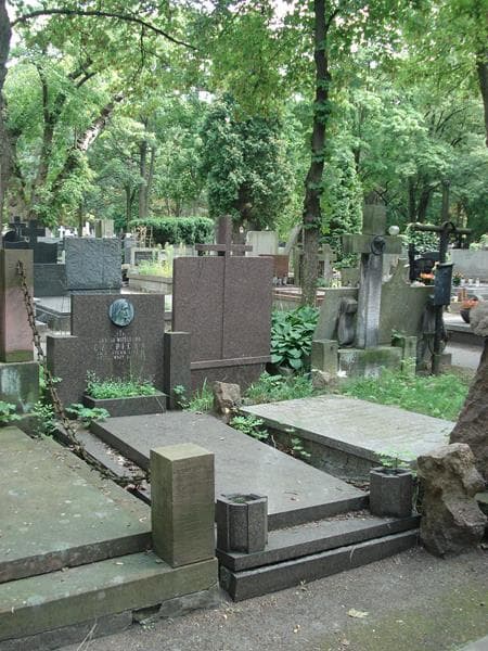 Zdjęcie grobu Janina Czypicka (1)