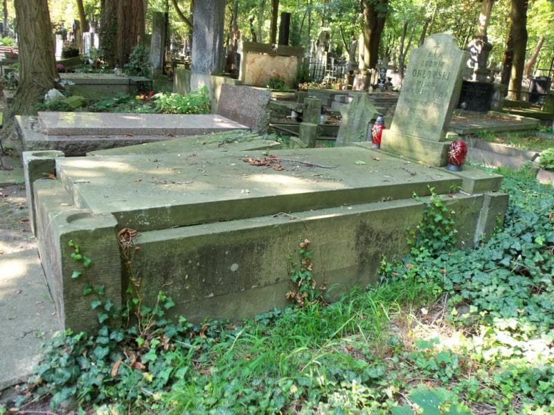 Zdjęcie grobu Anna Orłowska (1)