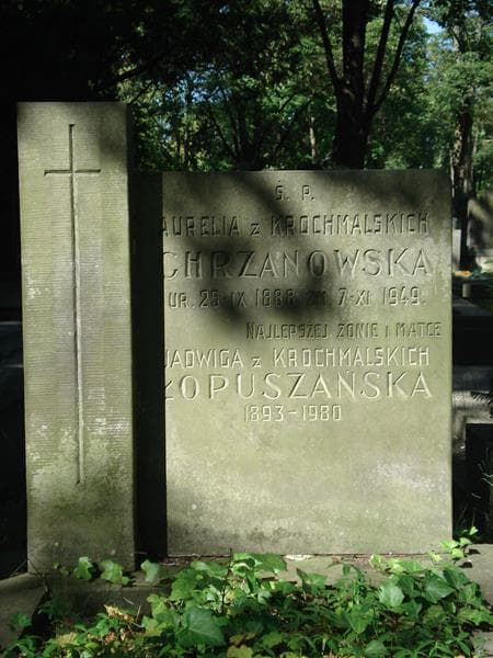 Zdjęcie grobu Aurelia Chrzanowska (2)