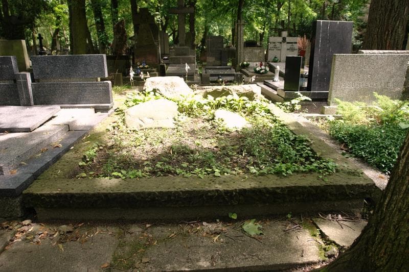 Zdjęcie grobu Czesław Sawicz (1)