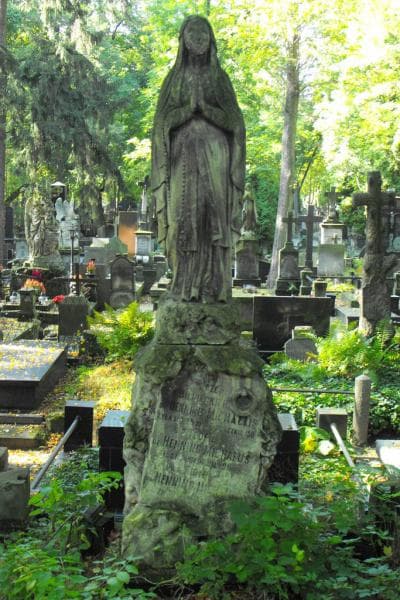Zdjęcie grobu Teofil De Henning Michaelis (1)