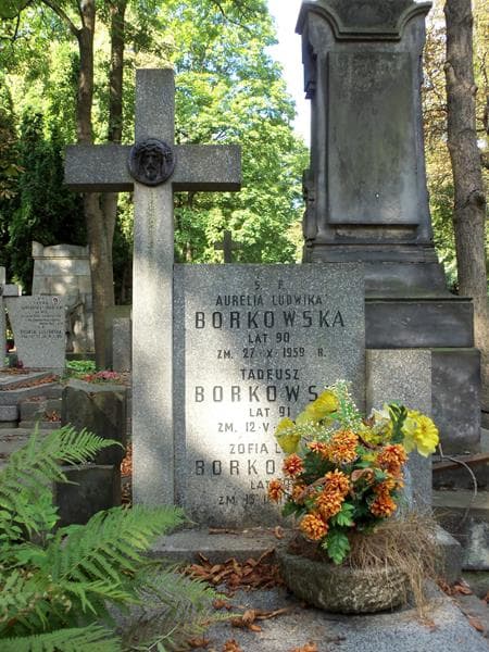 Zdjęcie grobu Tadeusz Borkowski (2)
