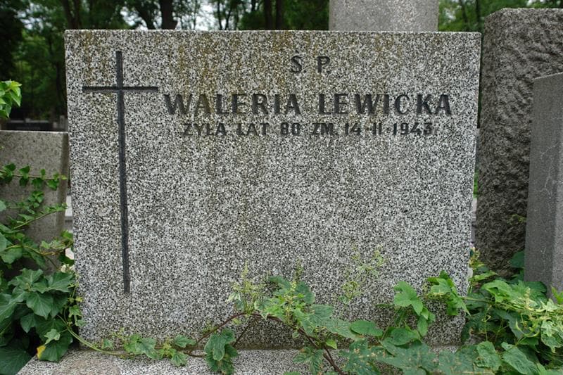 Zdjęcie grobu Waleria Lewicka (2)