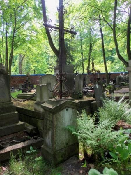 Zdjęcie grobu Zosia Kuczyńska (kaczyńska) (2)