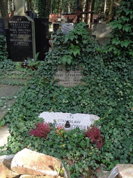 Zdjęcie grobu Edward Wroński (1)