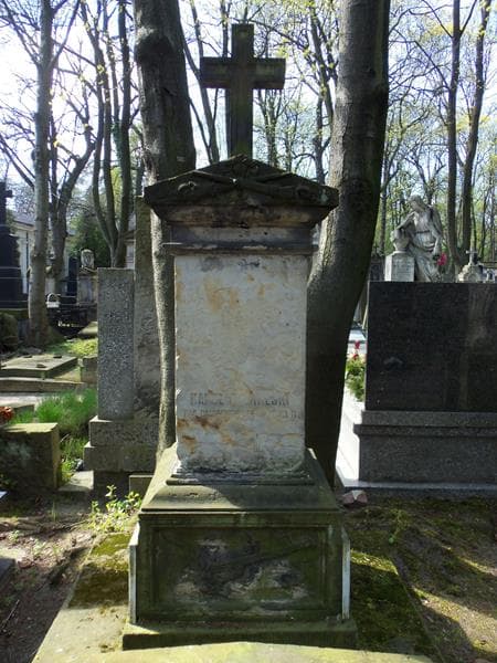Zdjęcie grobu Karol Michalski (2)