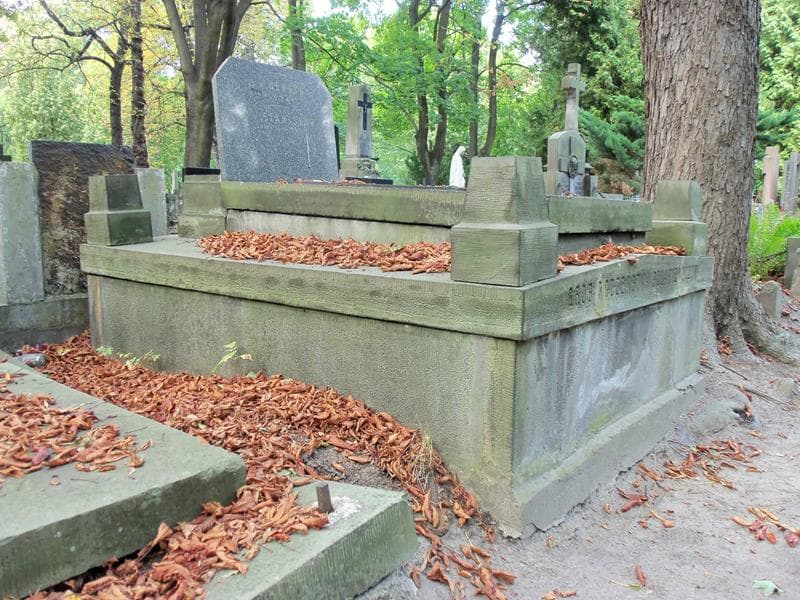 Zdjęcie grobu Henryk Polakiewicz (1)
