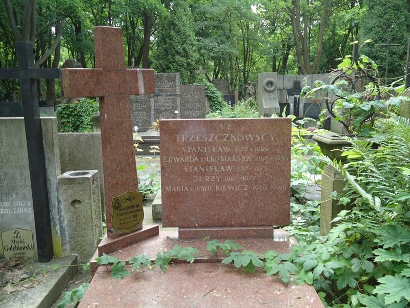 Zdjęcie grobu Stanisław Trzeszczkowski (2)
