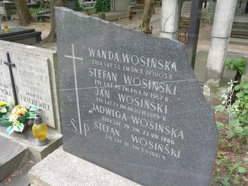 Zdjęcie grobu Stefan Wosiński (2)