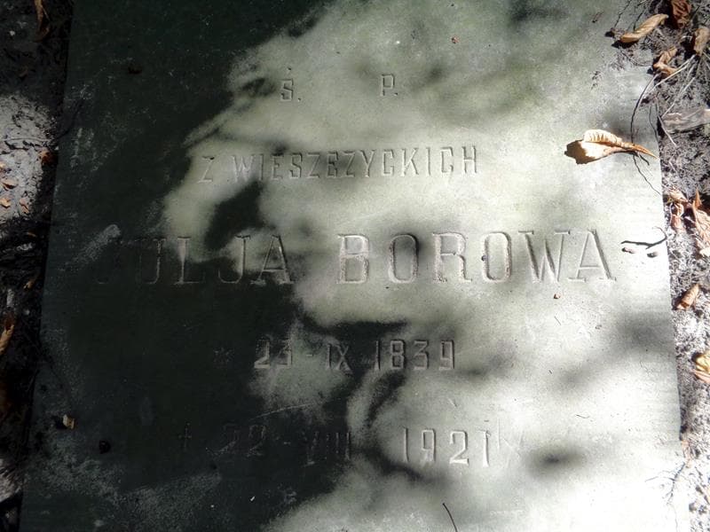 Zdjęcie grobu Julja Borowa (2)