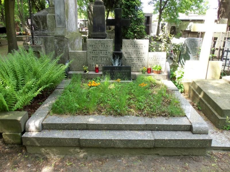 Zdjęcie grobu: Zofia Stanisława Tryjarska
