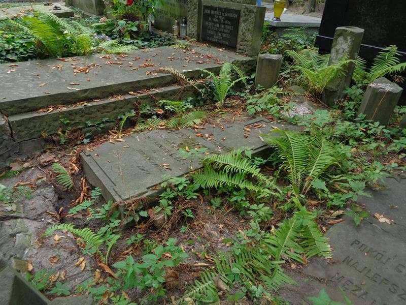 Zdjęcie grobu: Franciszka Oleszkiewicz