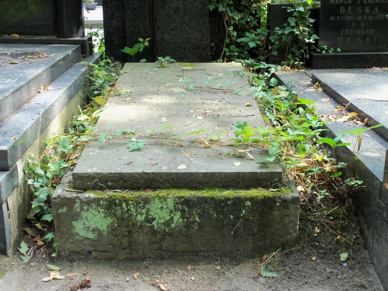 Zdjęcie grobu: Włodzimierz Perzyński