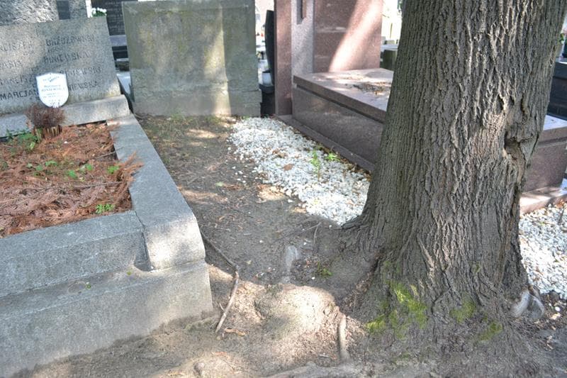 Zdjęcie grobu: Pole Grobowe