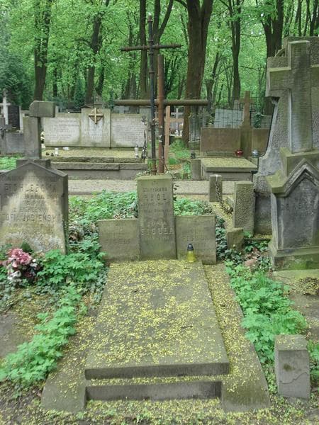 Zdjęcie grobu: Stanisława Król