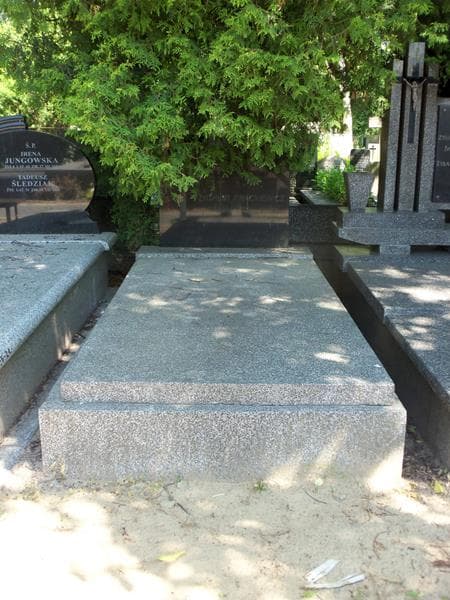 Zdjęcie grobu: Zygmunt Frąckiewicz