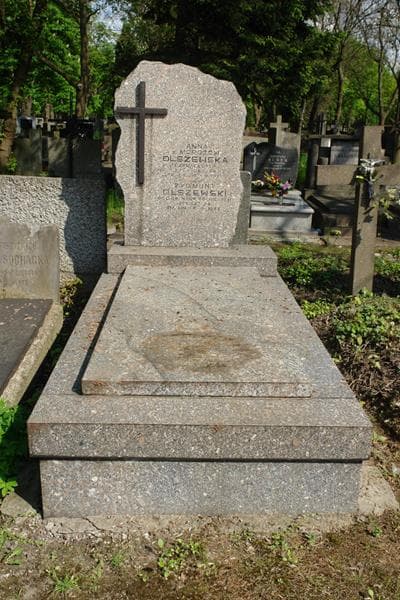 Zdjęcie grobu: Zygmunt Olszewski