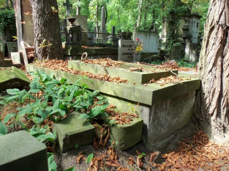 Zdjęcie grobu Anonim (1)