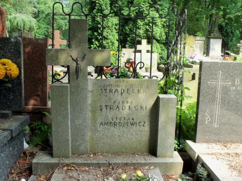 Zdjęcie grobu Władysława Stradecka (2)