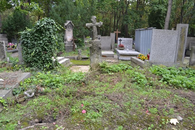 Zdjęcie grobu Helena Pingwarska (1)