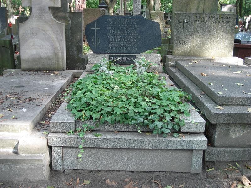 Zdjęcie grobu Janina Batorska (1)