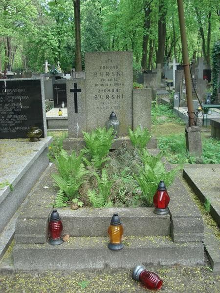 Zdjęcie grobu: Zygmunt Burski