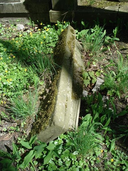 Zdjęcie grobu Pole Grobowe (1)