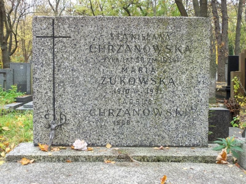 Zdjęcie grobu Tadeusz Chrzanowski (2)