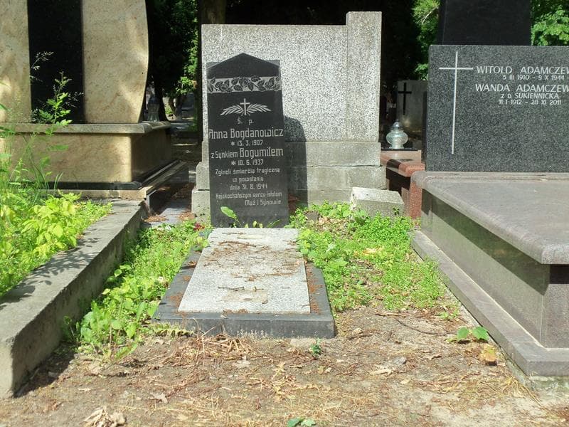 Zdjęcie grobu: Bogumił Bogdanowicz