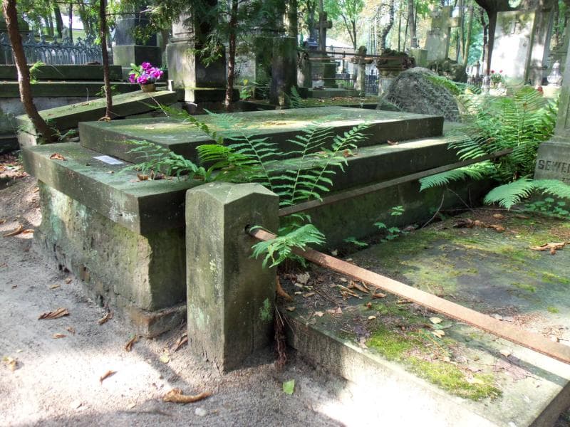 Zdjęcie grobu Czarnowscy (2)