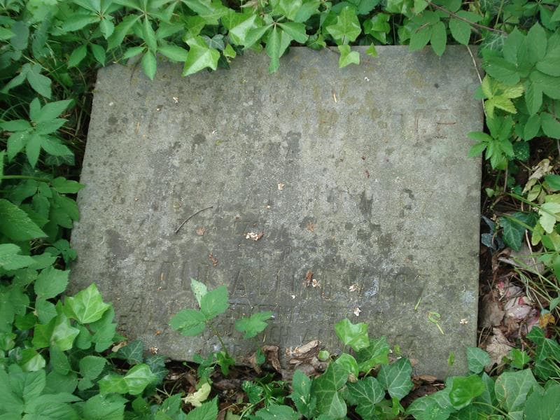 Zdjęcie grobu Witold Alimowicz (2)