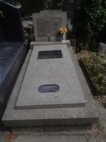 Zdjęcie grobu Zofia Maciejewska (1)